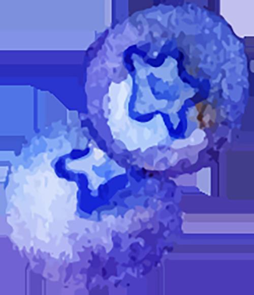 DƬ